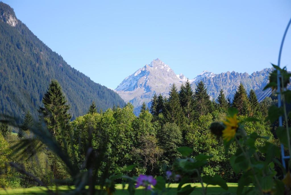 Alpenpension Maderer Gaschurn Dış mekan fotoğraf