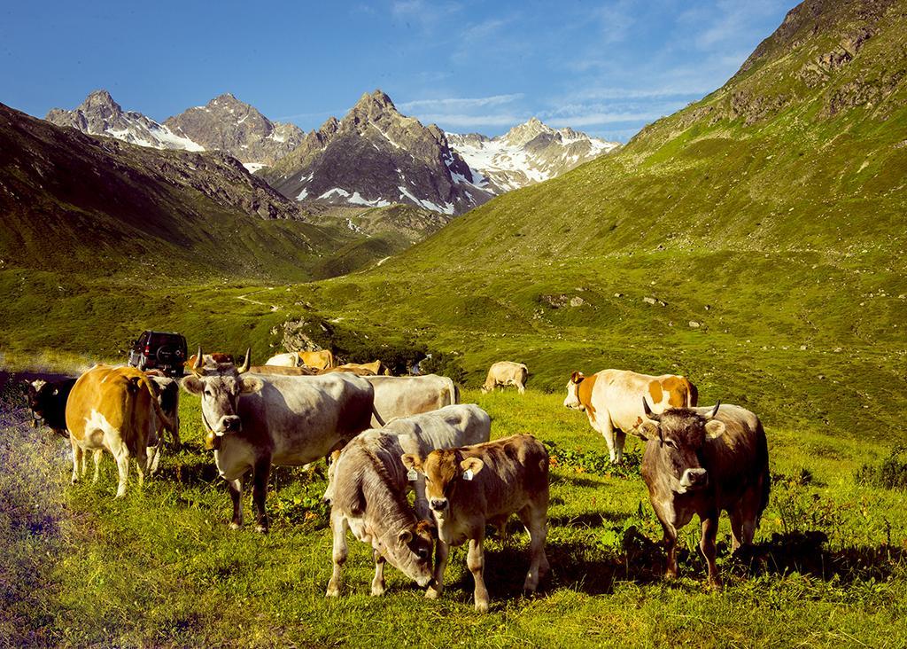 Alpenpension Maderer Gaschurn Dış mekan fotoğraf