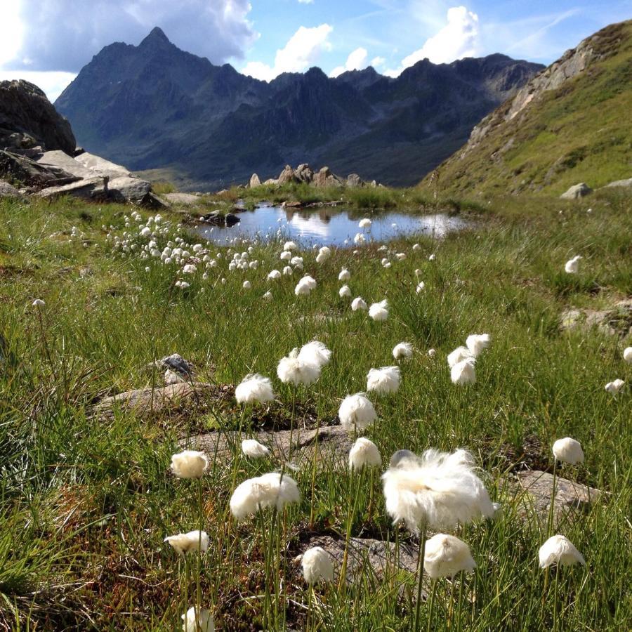 Alpenpension Maderer Gaschurn Dış mekan fotoğraf